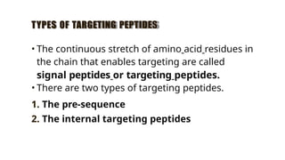 Comprehensive Overview of Protein Targeting Mechanisms in Cells | PPTX