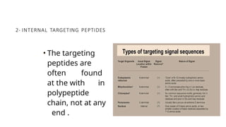 Comprehensive Overview of Protein Targeting Mechanisms in Cells | PPTX