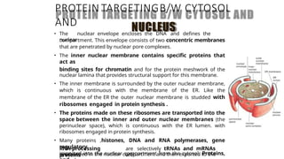 Comprehensive Overview of Protein Targeting Mechanisms in Cells | PPTX