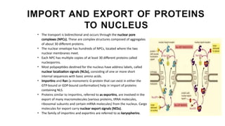 Comprehensive Overview of Protein Targeting Mechanisms in Cells | PPTX