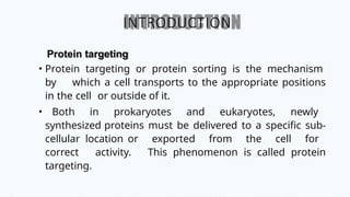 Comprehensive Overview of Protein Targeting Mechanisms in Cells | PPTX