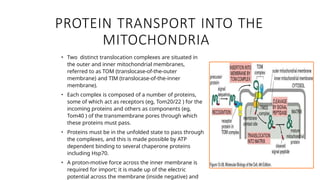 Comprehensive Overview of Protein Targeting Mechanisms in Cells | PPTX