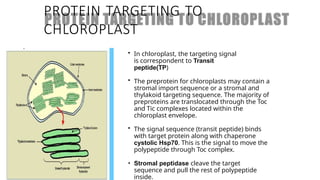 Comprehensive Overview of Protein Targeting Mechanisms in Cells | PPTX