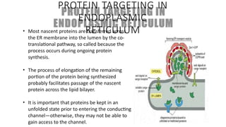 Comprehensive Overview of Protein Targeting Mechanisms in Cells | PPTX