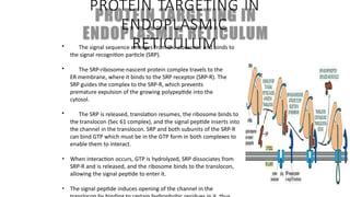 Comprehensive Overview of Protein Targeting Mechanisms in Cells | PPTX