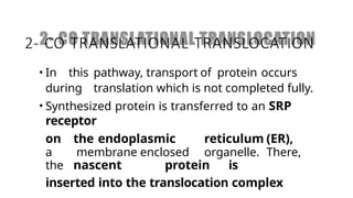 Comprehensive Overview of Protein Targeting Mechanisms in Cells | PPTX
