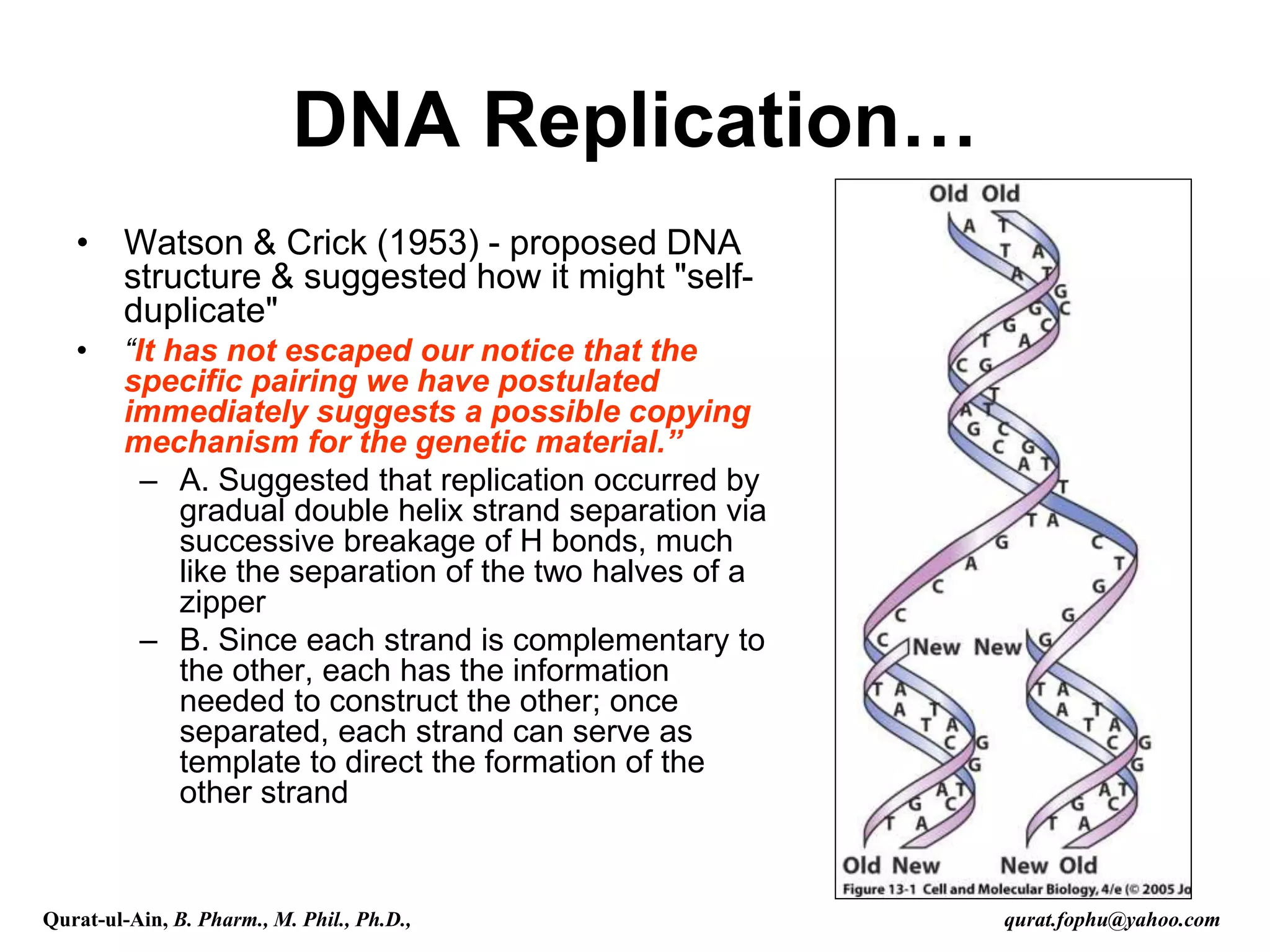 • Watson & Crick (1953) - proposed DNA
structure & suggested how it might "self-
duplicate"
• “It has not escaped our notice that the
specific pairing we have postulated
immediately suggests a possible copying
mechanism for the genetic material.”
– A. Suggested that replication occurred by
gradual double helix strand separation via
successive breakage of H bonds, much
like the separation of the two halves of a
zipper
– B. Since each strand is complementary to
the other, each has the information
needed to construct the other; once
separated, each strand can serve as
template to direct the formation of the
other strand
DNA Replication…
Qurat-ul-Ain, B. Pharm., M. Phil., Ph.D., qurat.fophu@yahoo.com
 