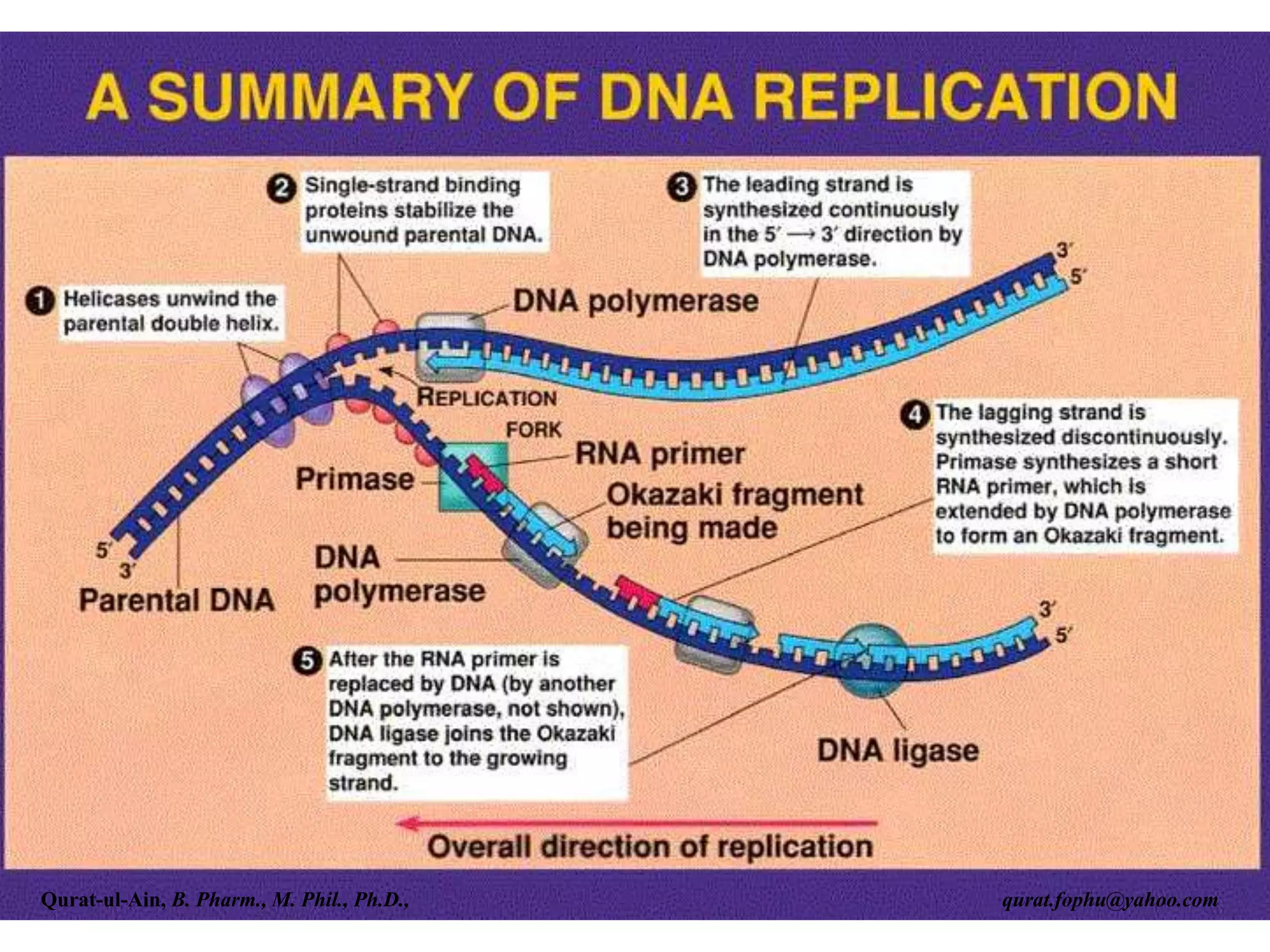 Qurat-ul-Ain, B. Pharm., M. Phil., Ph.D., qurat.fophu@yahoo.com
 
