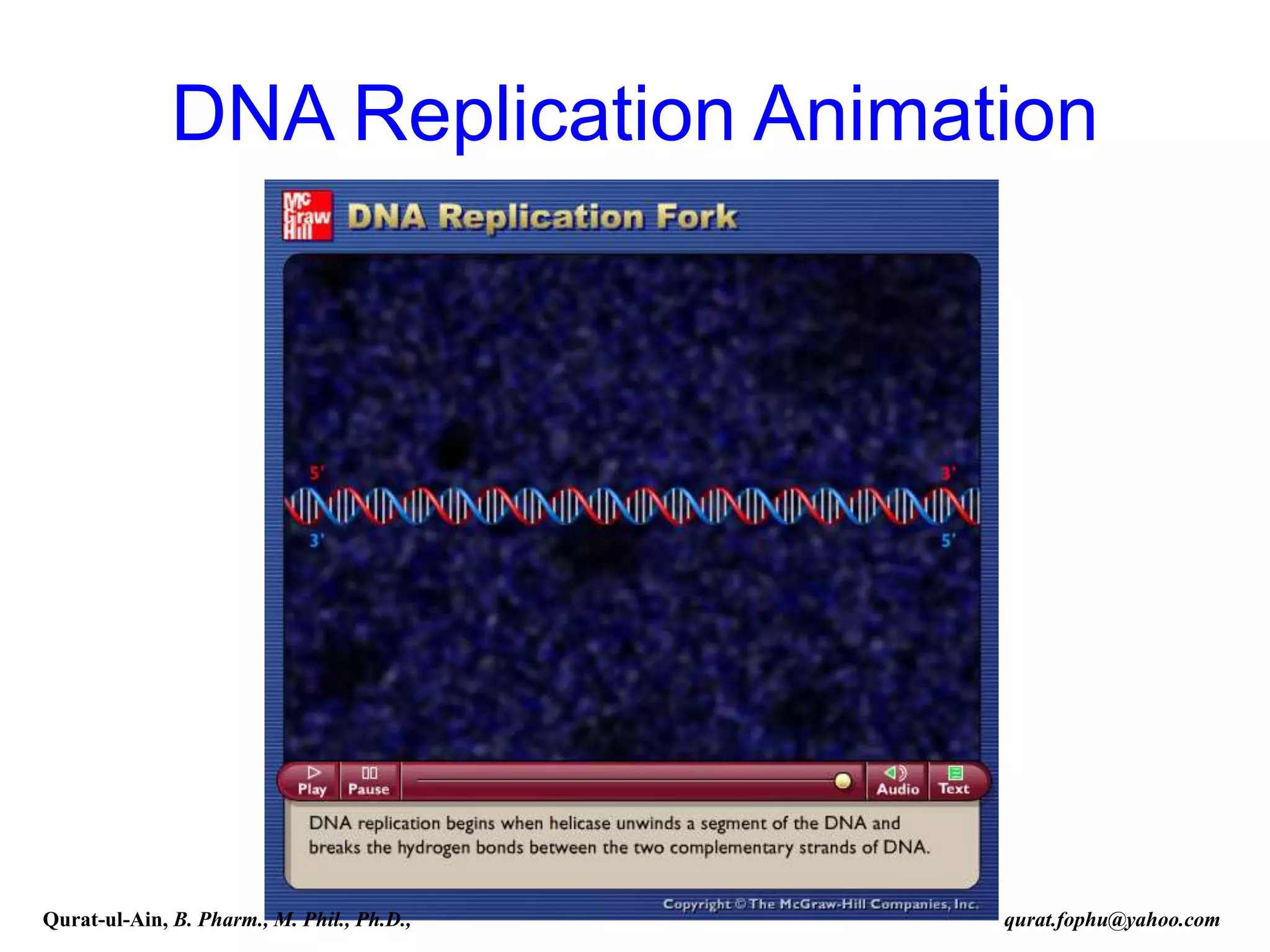 Figure 2.3
DNA Replication Animation
Please note that due to differing
operating systems, some animations
will not appear until the presentation is
viewed in Presentation Mode (Slide
Show view). You may see blank slides
in the “Normal” or “Slide Sorter” views.
All animations will appear after viewing
in Presentation Mode and playing each
animation. Most animations will require
the latest version of the Flash Player,
which is available at
http://get.adobe.com/flashplayer.
Qurat-ul-Ain, B. Pharm., M. Phil., Ph.D., qurat.fophu@yahoo.com
 