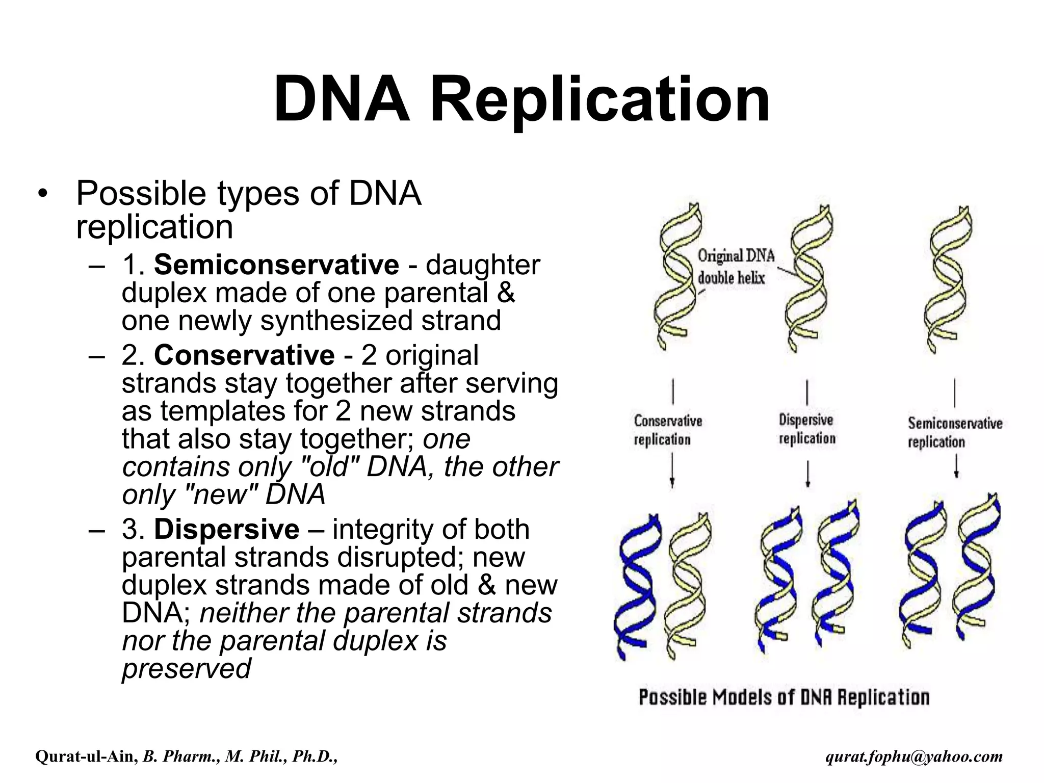 • Possible types of DNA
replication
– 1. Semiconservative - daughter
duplex made of one parental &
one newly synthesized strand
– 2. Conservative - 2 original
strands stay together after serving
as templates for 2 new strands
that also stay together; one
contains only "old" DNA, the other
only "new" DNA
– 3. Dispersive – integrity of both
parental strands disrupted; new
duplex strands made of old & new
DNA; neither the parental strands
nor the parental duplex is
preserved
DNA Replication
Qurat-ul-Ain, B. Pharm., M. Phil., Ph.D., qurat.fophu@yahoo.com
 