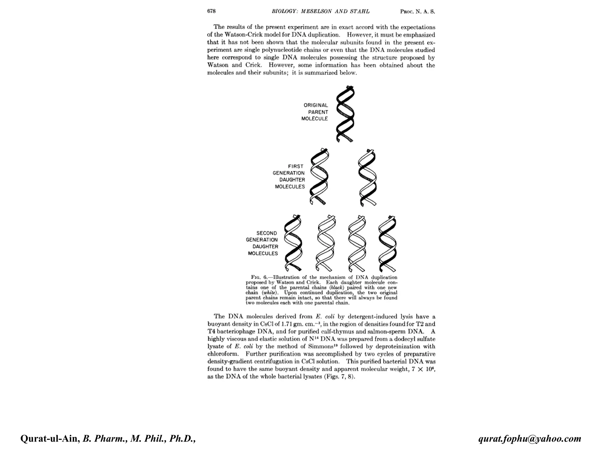 Qurat-ul-Ain, B. Pharm., M. Phil., Ph.D., qurat.fophu@yahoo.com
 