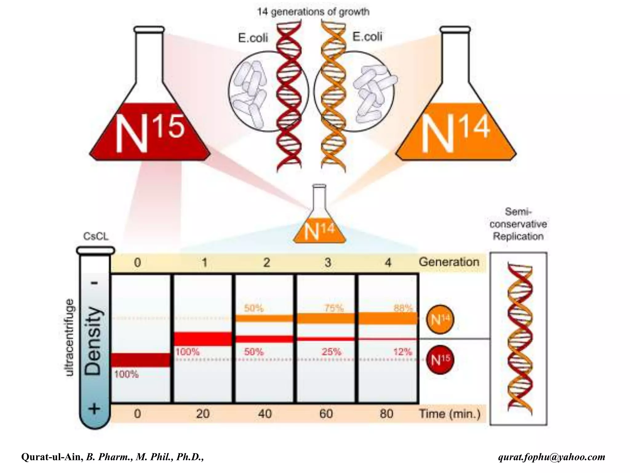 Qurat-ul-Ain, B. Pharm., M. Phil., Ph.D., qurat.fophu@yahoo.com
 