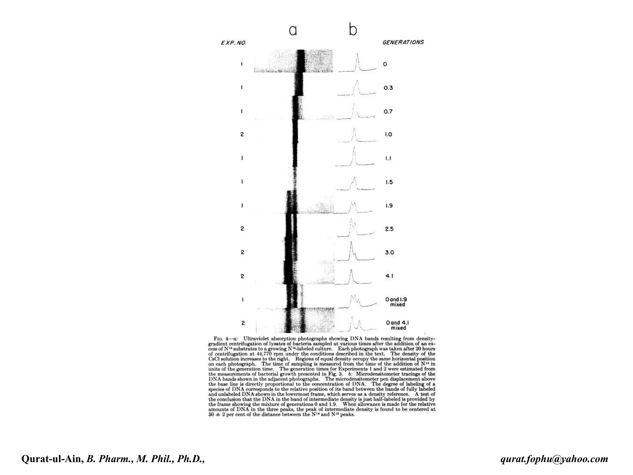 Qurat-ul-Ain, B. Pharm., M. Phil., Ph.D., qurat.fophu@yahoo.com
 