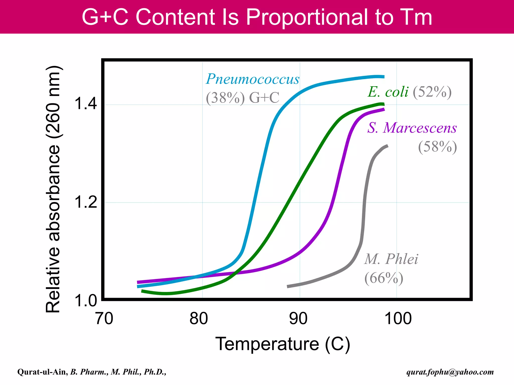 G+C Content Is Proportional to Tm
70 80 90 100
1.4
1.2
1.0
Relative
absorbance
(260
nm)
Temperature (C)
Pneumococcus
(38%) G+C E. coli (52%)
S. Marcescens
(58%)
M. Phlei
(66%)
Qurat-ul-Ain, B. Pharm., M. Phil., Ph.D., qurat.fophu@yahoo.com
 