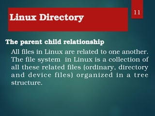 Comprehensive Guide to Linux Directory Structure and Command Usage | PDF