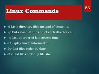 Comprehensive Guide to Linux Directory Structure and Command Usage | PDF