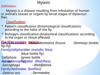 Comprehensive Overview of Myiasis and Flea Infestations: Classification ...