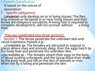 Comprehensive Overview of Myiasis and Flea Infestations: Classification ...