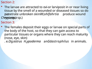 Comprehensive Overview of Myiasis and Flea Infestations: Classification ...
