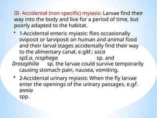 Comprehensive Overview of Myiasis and Flea Infestations: Classification ...