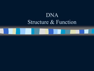 DNA
Structure & Function
 