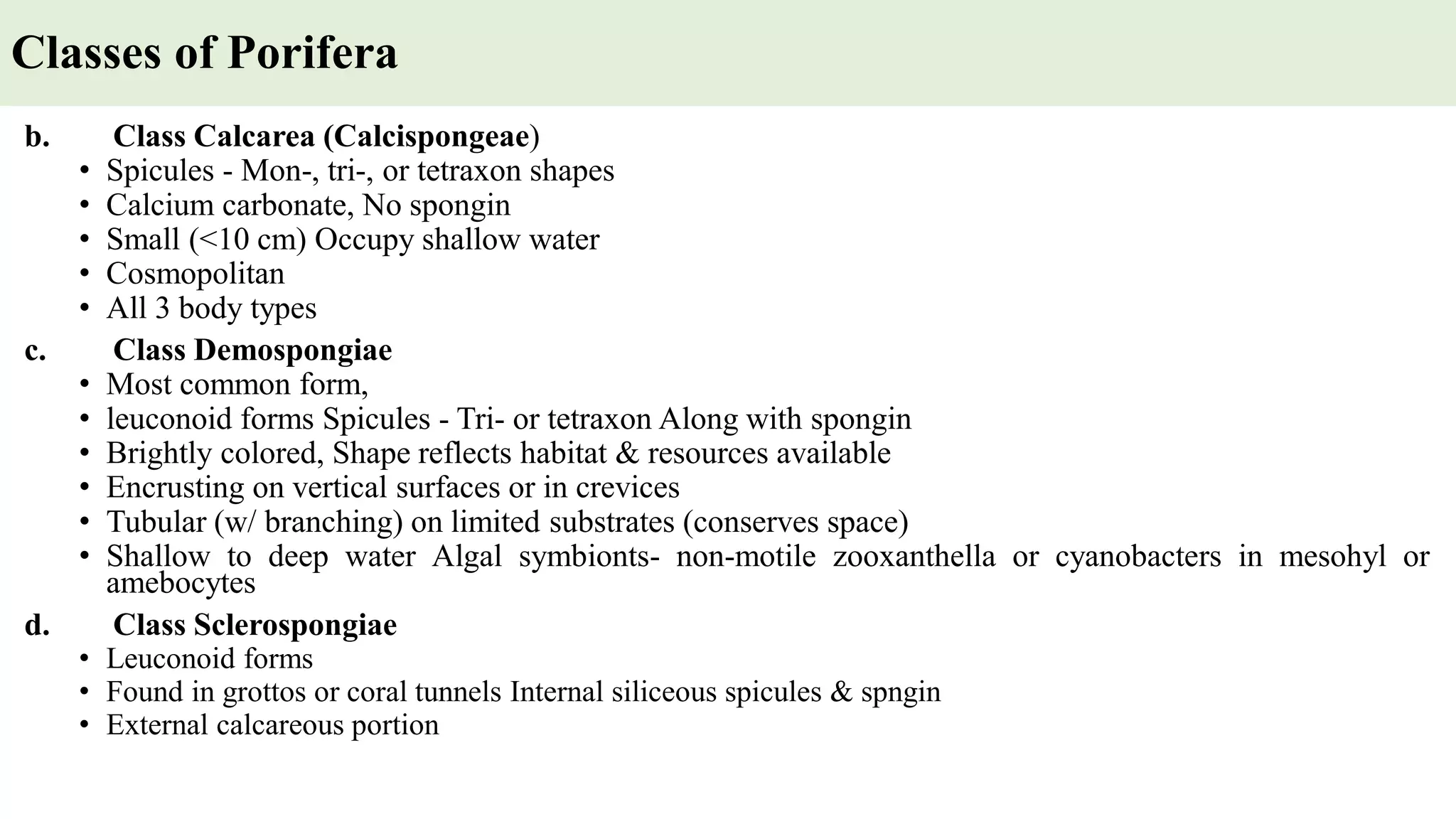 b. Class Calcarea (Calcispongeae)
• Spicules - Mon-, tri-, or tetraxon shapes
• Calcium carbonate, No spongin
• Small (<10 cm) Occupy shallow water
• Cosmopolitan
• All 3 body types
c. Class Demospongiae
• Most common form,
• leuconoid forms Spicules - Tri- or tetraxon Along with spongin
• Brightly colored, Shape reflects habitat & resources available
• Encrusting on vertical surfaces or in crevices
• Tubular (w/ branching) on limited substrates (conserves space)
• Shallow to deep water Algal symbionts- non-motile zooxanthella or cyanobacters in mesohyl or
amebocytes
d. Class Sclerospongiae
• Leuconoid forms
• Found in grottos or coral tunnels Internal siliceous spicules & spngin
• External calcareous portion
Classes of Porifera
 