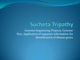 Genome Sequencing Projects, Genome
Size, Application of sequence information for
                identification of disease genes
 