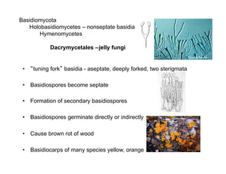 Basidiomycota Rust Examples Lecture-3_Basidiomycota-life-cycle-2-1bb9ivh.pdf