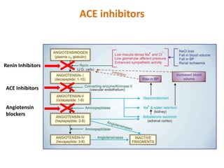 ACE inhibitors
Renin Inhibitors
ACE Inhibitors
Angiotensin
blockers
 