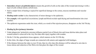 • Immediate closure of epithelial defects ensures the growth of cells on the sides of the wound and closing it with a
layer of cells without mitotic cell division.
• Such a simple form of healing is typical for superficial damage to the cornea, mucous membrane and vascular
intima.
• Healing under eschar is also characteristic of minor damage to the epidermis.
• For example, with superficial excoriations, lymph and blood exclude rapid drying and transformation into crust
(eschar).
• The epidermis regenerates under the crust, which, as a result of the rejection process, disappears on the 3rd-7th day.
• Healing by first (primary) intention
• Under phagocytes’ proteolytic enzymes influence partial lysis of blood clots and tissue detritus takes place and
wound content is removed in the very first date after injury together with exudate.
• On the 2-3rd day, granulation tissue appears, which matures on the 10-15th day.
• In the clinic, the edges of large wounds are connected with sutures and supported with bandages.
• If the distance between the sides is even 10 mm, then in a few days this distance will be reduced to zero due to
tissue edema and reduction of the fibrin clot that glues the edges of the wound.
 