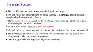 Immune System
• The specific immune responses protect the body in two ways.
1) An individual can gain immunity by being exposed to a pathogen (disease-causing
agent) and perhaps getting the disease.
• This is acquired immunity, such as the resistance to the chicken pox that you acquire
after having the disease in childhood.
• Another term for this process is active immunity.
2) An individual can gain immunity by obtaining the antibodies from another individual.
• This happened to you before you were born, with antibodies made by your mother
being transferred to you across the placenta.
• Immunity gained in this way is called passive immunity.
 