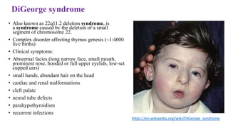 DiGeorge syndrome
• Also known as 22q11.2 deletion syndrome, is
a syndrome caused by the deletion of a small
segment of chromosome 22.
• Complex disorder affecting thymus genesis (~1:4000
live births)
• Clinical symptoms:
• Abnormal facies (long narrow face, small mouth,
prominent nose, hooded or full upper eyelids, low-set
cupped ears)
• small hands, abundant hair on the head
• cardiac and renal malformations
• cleft palate
• neural tube defects
• parahypothyroidism
• recurrent infections
https://en.wikipedia.org/wiki/DiGeorge_syndrome
 