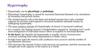 Hypertrophy
• Hypertrophy can be physiologic or pathologic.
• Physiologic hypertrophy is caused by increased functional demand or by stimulation
by hormones and growth factors.
• The striated muscle cells in the heart and skeletal muscles have only a limited
capacity for division, and respond to increased metabolic demands mainly by
undergoing hypertrophy.
• The most common stimulus for hypertrophy of muscle is increased workload.
• For example, the bulging muscles of bodybuilders engaged in “pumping iron” result
from enlargement of individual muscle fibers in response to increased demand.
• In the heart, the stimulus for hypertrophy is usually chronic hemodynamic
overload, resulting from either hypertension or faulty valves.
• In both tissue types the muscle cells synthesize more proteins and the number of
myofilaments increases.
• This increases the amount of force each myocyte can generate, and thus increases the
strength and work capacity of the muscle as a whole.
 