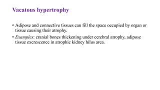 Vacatous hypertrophy
• Adipose and connective tissues can fill the space occupied by organ or
tissue causing their atrophy.
• Examples: cranial bones thickening under cerebral atrophy, adipose
tissue excrescence in atrophic kidney hilus area.
 