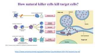 How natural killer cells kill target cells?
https://www.semanticscholar.org/paper/Cellular-Counterattack-%3A-The-Second-Line-of/
 