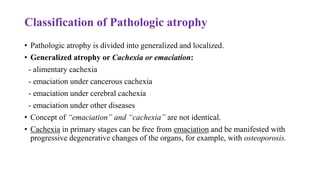 Classification of Pathologic atrophy
• Pathologic atrophy is divided into generalized and localized.
• Generalized atrophy or Cachexia or emaciation:
- alimentary cachexia
- emaciation under cancerous cachexia
- emaciation under cerebral cachexia
- emaciation under other diseases
• Concept of “emaciation” and “cachexia” are not identical.
• Cachexia in primary stages can be free from emaciation and be manifested with
progressive degenerative changes of the organs, for example, with osteoporosis.
 