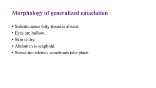 Morphology of generalized emaciation
• Subcutaneous fatty tissue is absent.
• Eyes are hollow.
• Skin is dry.
• Abdomen is scaphoid.
• Starvation edemas sometimes take place.
 