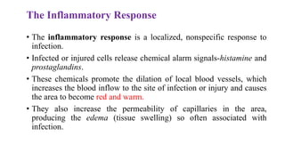 The Inflammatory Response
• The inflammatory response is a localized, nonspecific response to
infection.
• Infected or injured cells release chemical alarm signals-histamine and
prostaglandins.
• These chemicals promote the dilation of local blood vessels, which
increases the blood inflow to the site of infection or injury and causes
the area to become red and warm.
• They also increase the permeability of capillaries in the area,
producing the edema (tissue swelling) so often associated with
infection.
 