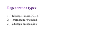 Regeneration types
1. Physiologic regeneration
2. Reparative regeneration
3. Pathologic regeneration
 