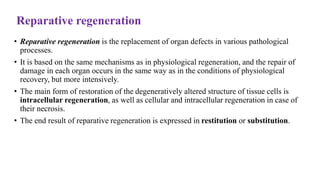Reparative regeneration
• Reparative regeneration is the replacement of organ defects in various pathological
processes.
• It is based on the same mechanisms as in physiological regeneration, and the repair of
damage in each organ occurs in the same way as in the conditions of physiological
recovery, but more intensively.
• The main form of restoration of the degeneratively altered structure of tissue cells is
intracellular regeneration, as well as cellular and intracellular regeneration in case of
their necrosis.
• The end result of reparative regeneration is expressed in restitution or substitution.
 