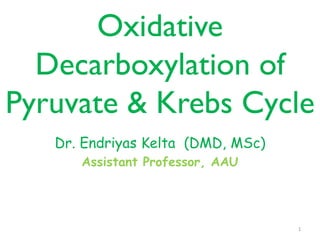Oxidative
Decarboxylation of
Pyruvate & Krebs Cycle
Dr. Endriyas Kelta (DMD, MSc)
Assistant Professor, AAU
1
 