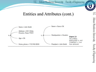 Entities and Attributes (cont.)
 