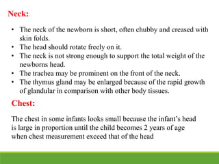 Neck:
• The neck of the newborn is short, often chubby and creased with
skin folds.
• The head should rotate freely on it.
• The neck is not strong enough to support the total weight of the
newborns head.
• The trachea may be prominent on the front of the neck.
• The thymus gland may be enlarged because of the rapid growth
of glandular in comparison with other body tissues.
Chest:
The chest in some infants looks small because the infant’s head
is large in proportion until the child becomes 2 years of age
when chest measurement exceed that of the head
 