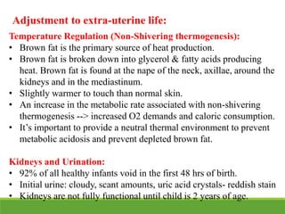 Adjustment to extra-uterine life:
Temperature Regulation (Non-Shivering thermogenesis):
• Brown fat is the primary source of heat production.
• Brown fat is broken down into glycerol & fatty acids producing
heat. Brown fat is found at the nape of the neck, axillae, around the
kidneys and in the mediastinum.
• Slightly warmer to touch than normal skin.
• An increase in the metabolic rate associated with non-shivering
thermogenesis --> increased O2 demands and caloric consumption.
• It’s important to provide a neutral thermal environment to prevent
metabolic acidosis and prevent depleted brown fat.
Kidneys and Urination:
• 92% of all healthy infants void in the first 48 hrs of birth.
• Initial urine: cloudy, scant amounts, uric acid crystals- reddish stain
• Kidneys are not fully functional until child is 2 years of age.
 