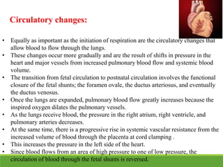 Circulatory changes:
• Equally as important as the initiation of respiration are the circulatory changes that
allow blood to flow through the lungs.
• These changes occur more gradually and are the result of shifts in pressure in the
heart and major vessels from increased pulmonary blood flow and systemic blood
volume.
• The transition from fetal circulation to postnatal circulation involves the functional
closure of the fetal shunts; the foramen ovale, the ductus arteriosus, and eventually
the ductus venosus.
• Once the lungs are expanded, pulmonary blood flow greatly increases because the
inspired oxygen dilates the pulmonary vessels.
• As the lungs receive blood, the pressure in the right atrium, right ventricle, and
pulmonary arteries decreases.
• At the same time, there is a progressive rise in systemic vascular resistance from the
increased volume of blood through the placenta at cord clamping .
• This increases the pressure in the left side of the heart.
• Since blood flows from an area of high pressure to one of low pressure, the
circulation of blood through the fetal shunts is reversed.
 