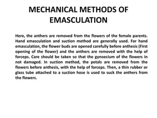 MECHANICAL METHODS OF
EMASCULATION
Here, the anthers are removed from the flowers of the female parents.
Hand emasculation and suction method are generally used. For hand
emasculation, the flower buds are opened carefully before anthesis (First
opening of the flower) and the anthers are removed with the help of
forceps. Care should be taken so that the gynoecium of the flowers in
not damaged. In suction method, the petals are removed from the
flowers before anthesis, with the help of forceps. Then, a thin rubber or
glass tube attached to a suction hose is used to suck the anthers from
the flowers.
 