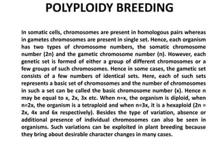 POLYPLOIDY BREEDING
In somatic cells, chromosomes are present in homologous pairs whereas
in gametes chromosomes are present in single set. Hence, each organism
has two types of chromosome numbers, the somatic chromosome
number (2n) and the gametic chromosome number (n). However, each
genetic set is formed of either a group of different chromosomes or a
few groups of such chromosomes. Hence in some cases, the gametic set
consists of a few numbers of identical sets. Here, each of such sets
represents a basic set of chromosomes and the number of chromosomes
in such a set can be called the basic chromosome number (x). Hence n
may be equal to x, 2x, 3x etc. When n=x, the organism is diploid, when
n=2x, the organism is a tetraploid and when n=3x, it is a hexaploid (2n =
2x, 4x and 6x respectively). Besides the type of variation, absence or
additional presence of individual chromosomes can also be seen in
organisms. Such variations can be exploited in plant breeding because
they bring about desirable character changes in many cases.
 