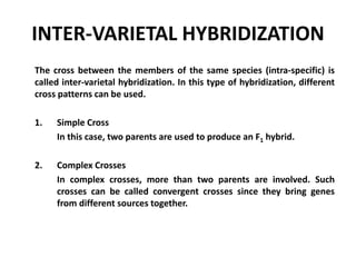 INTER-VARIETAL HYBRIDIZATION
The cross between the members of the same species (intra-specific) is
called inter-varietal hybridization. In this type of hybridization, different
cross patterns can be used.
1. Simple Cross
In this case, two parents are used to produce an F1 hybrid.
2. Complex Crosses
In complex crosses, more than two parents are involved. Such
crosses can be called convergent crosses since they bring genes
from different sources together.
 
