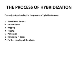 THE PROCESS OF HYBRIDIZATION
The major steps involved in the process of hybridization are:
1. Selection of Parents
2. Emasculation
3. Bagging
4. Tagging
5. Pollination
6. Harvesting F1 Seeds
7. Further handling of the plants
 