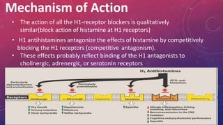 Mechanism of Action
• The action of all the H1-receptor blockers is qualitatively
similar(block action of histamine at H1 receptors)
• H1 antihistamines antagonize the effects of histamine by competitively
blocking the H1 receptors (competitive antagonism).
• These effects probably reflect binding of the H1 antagonists to
cholinergic, adrenergic, or serotonin receptors
 